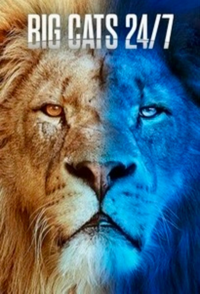 Big Cats 24/7 (2024) Season 2 (Episode 3 Added)